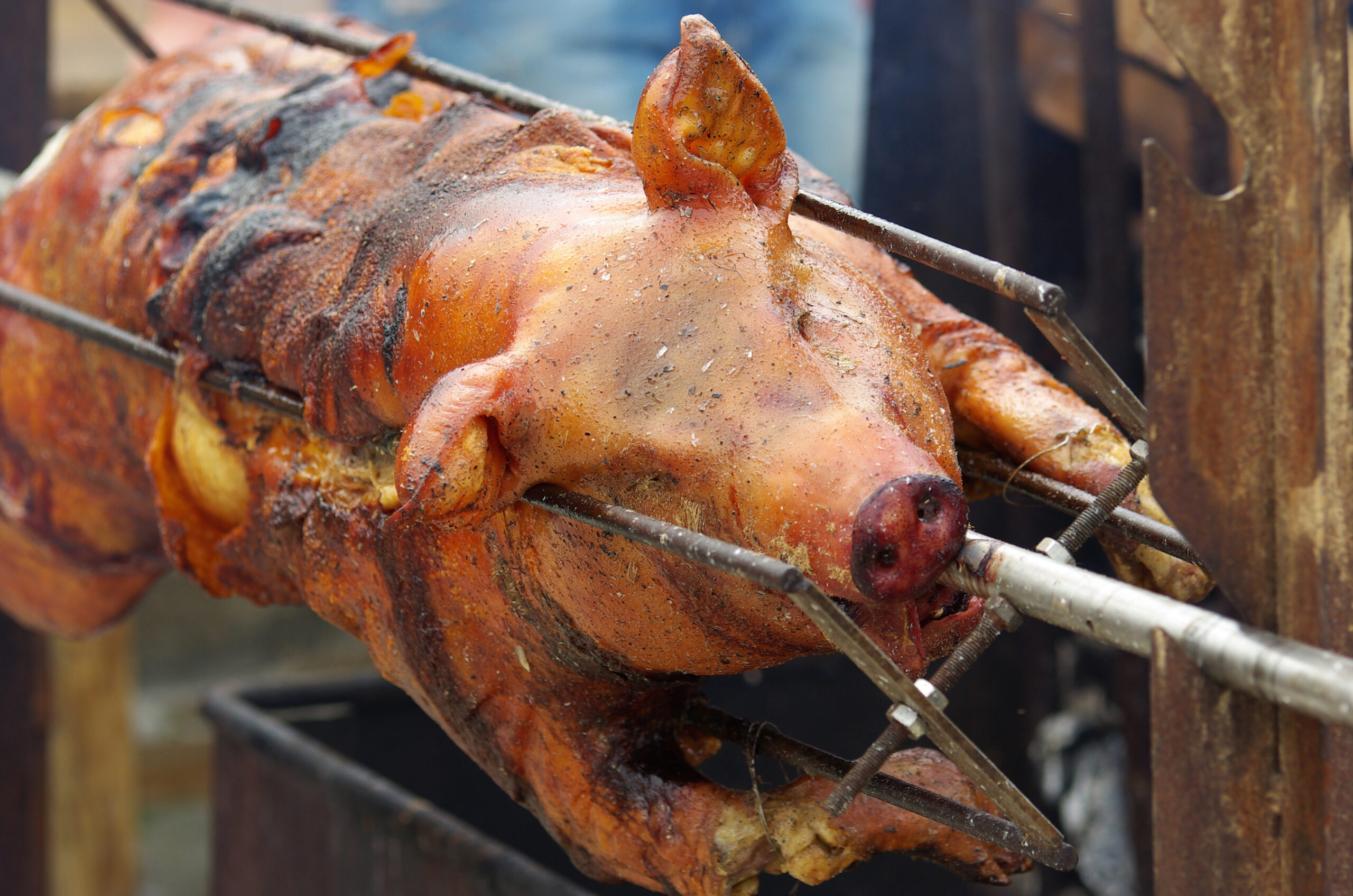 Colis Viande à La Rochelle
